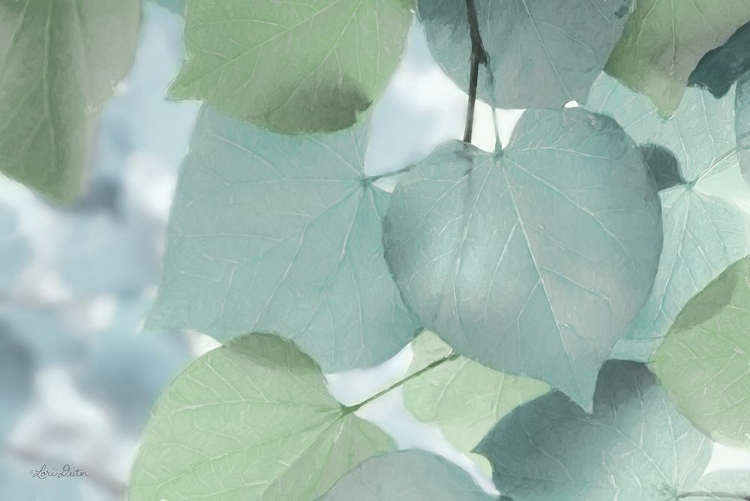 Picture of AQUA LEAVES