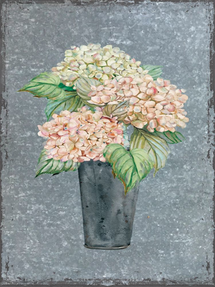 Picture of HYDRANGEA ON GALVANIZED METAL