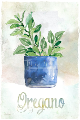 Picture of POTTED OREGANO