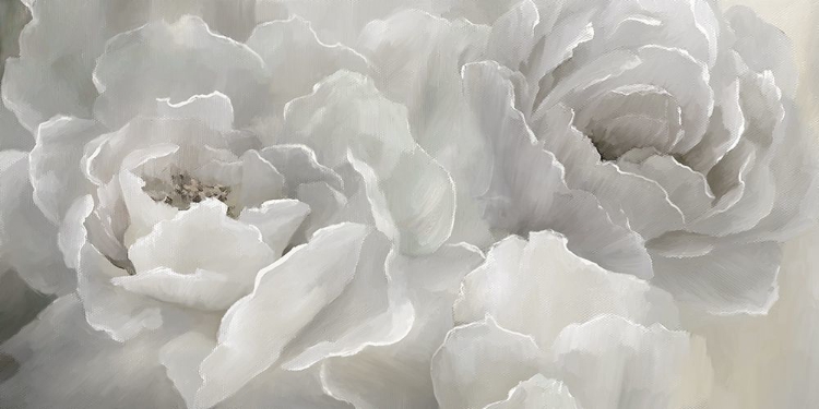 Picture of SOFT PEONY LACE