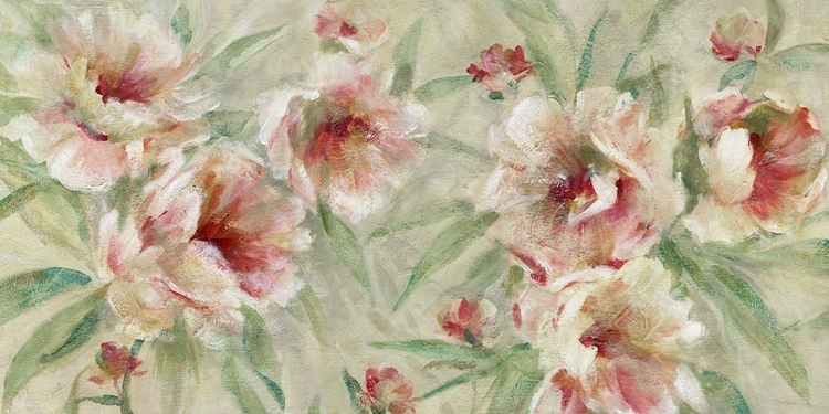 Picture of PEONY PLEASURE