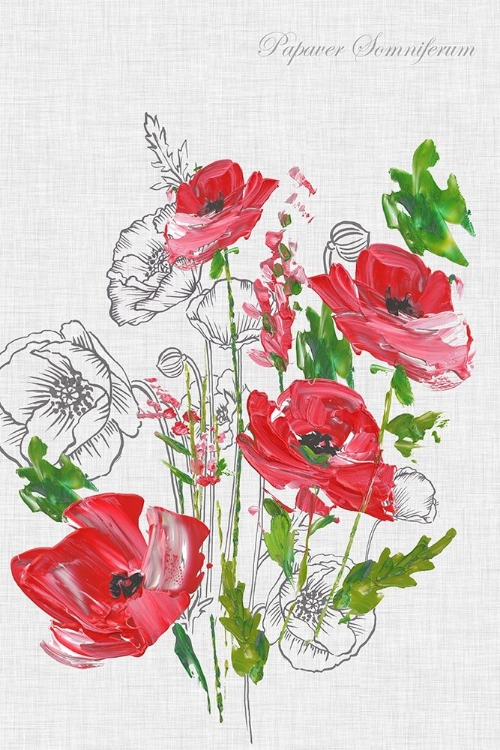 Picture of BOTANICAL POPPIES 