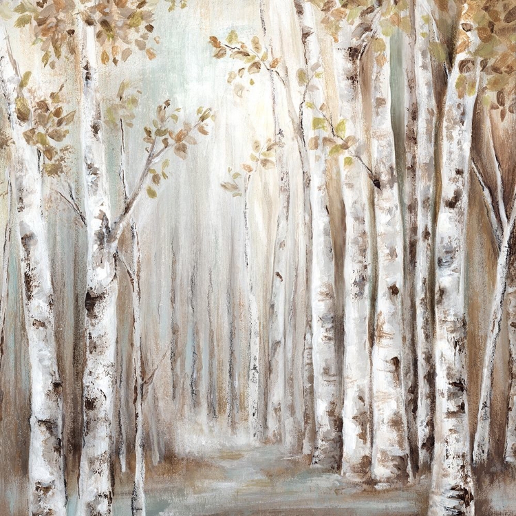 Picture of SUNSET BIRCH FOREST III 