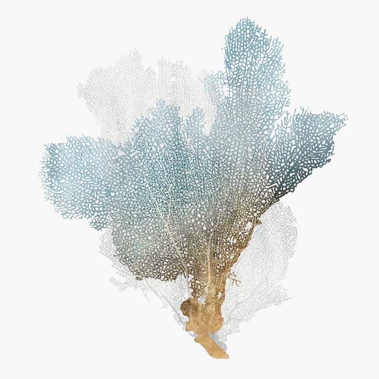 Picture of DELICATE CORAL III 