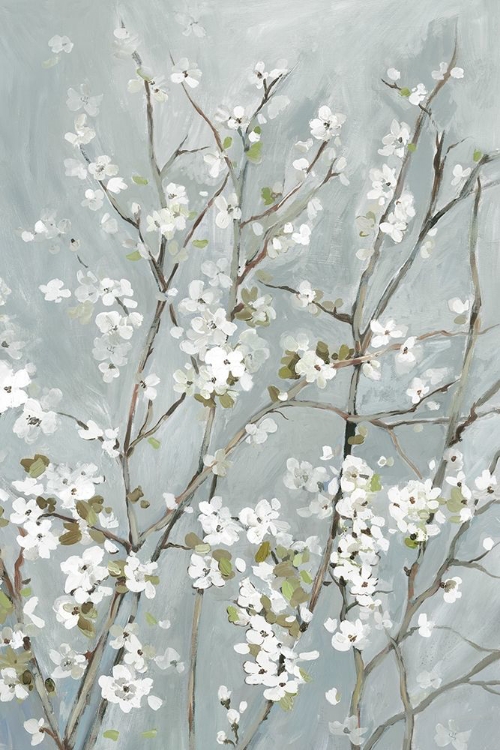 Picture of LIGHT ALMOND BLOSSOMS