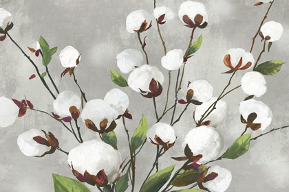 Picture of COTTON BALL FLOWERS I 