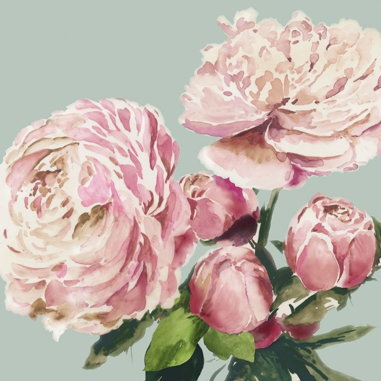 Picture of PINK PEONY II