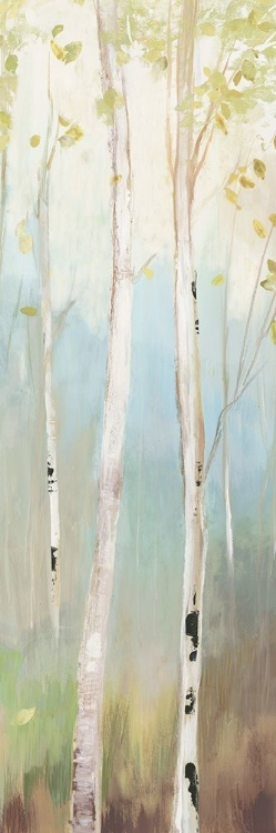 Picture of GOLDEN BIRCH II 