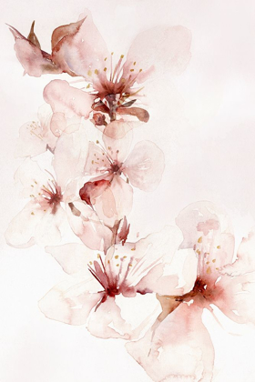 Picture of WATERCOLOR BLOSSOMS II