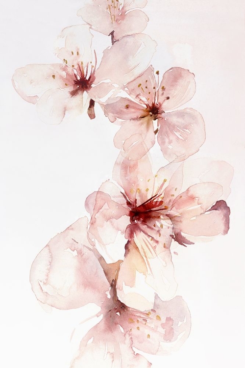 Picture of WATERCOLOR BLOSSOMS III