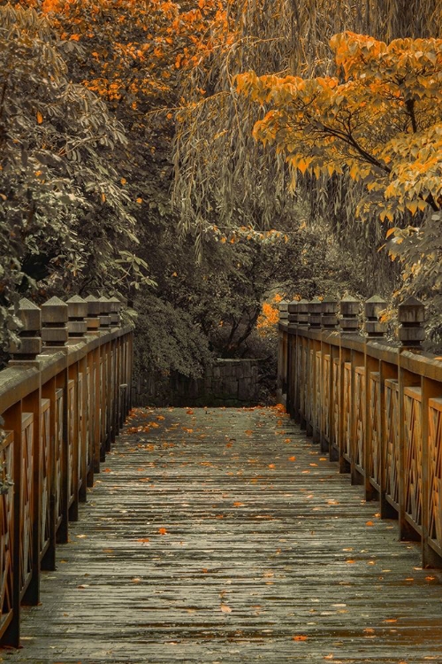 Picture of ACROSS THE BRIDGE