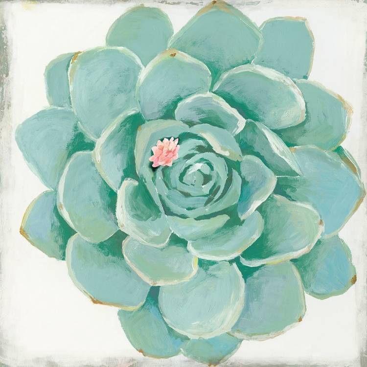 Picture of PASTEL SUCCULENT I