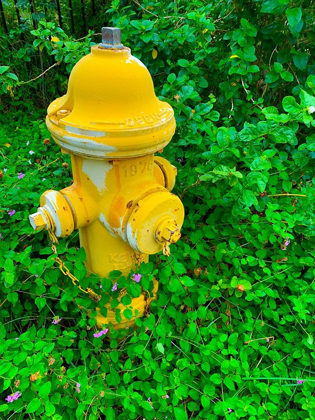 Picture of COZY HYDRANT