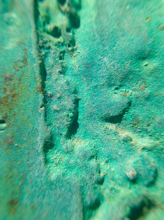 Picture of OXIDIZED METAL II