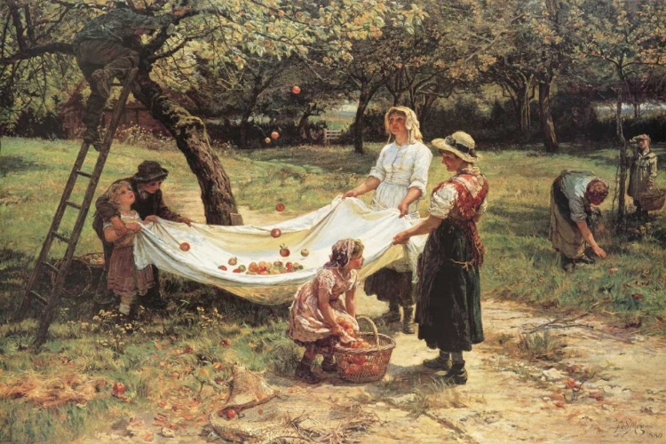 Picture of THE APPLE GATHERERS