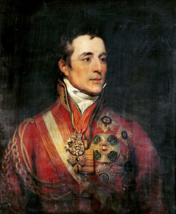 Picture of THE DUKE OF WELLINGTON