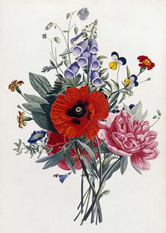 Picture of COLLECTION DES FLEURS ET DES FRUITS