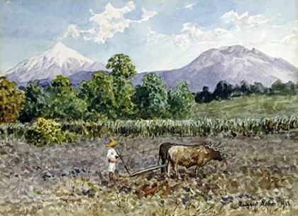 Picture of CAMPESINO ARANDO