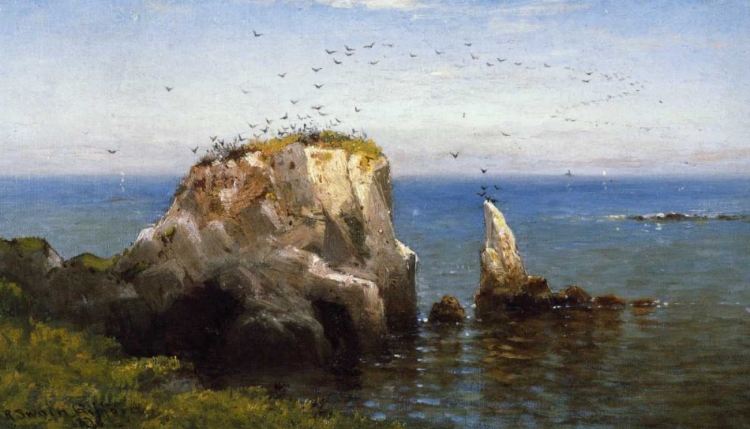 Picture of ROCKS ON THE SONOMA COAST, CALIFORNIA