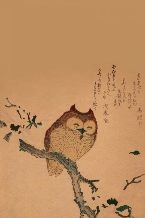 Picture of OWL OF BRANCH