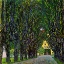 Picture of AVENUE IN SCHLOSS KAMMER PARK 1913