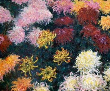 Picture of MUSEUMYSANTHEMUMS