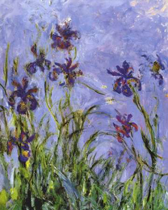 Picture of IRISES (DETAIL)