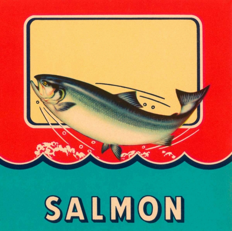 Picture of SALMON