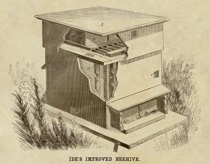 Picture of IDES IMPROVED BEEHIVE