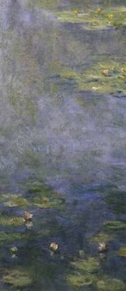 Picture of WATER LILIES (NYMPHEAS) IV (CENTER)