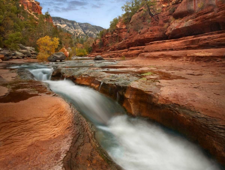 Picture of OAK CREEK IN SLIDE ROCK STATE PARK NEAR SEDONA, ARIZONA