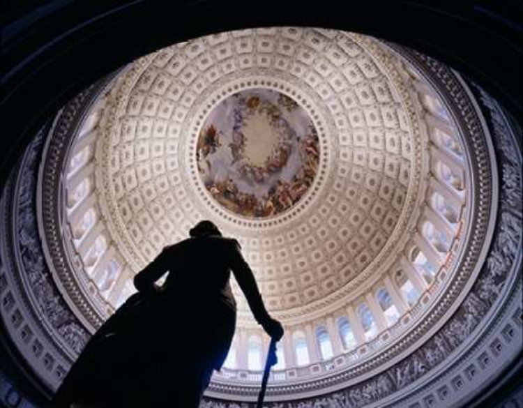 Picture of U.S. CAPITOL DOME, WASHINGTON, D.C.