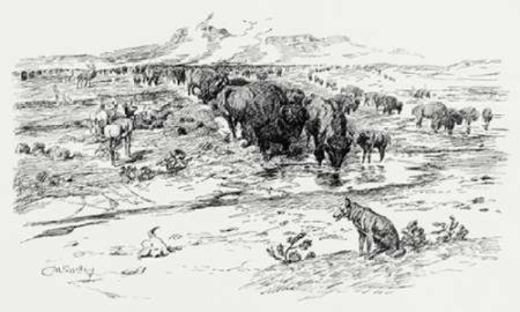 Picture of NATURES CATTLE, 1899