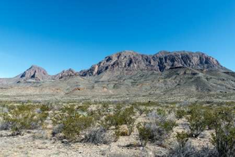 Picture of SCENERY IN BIG BEND NATIONAL PARK, TX