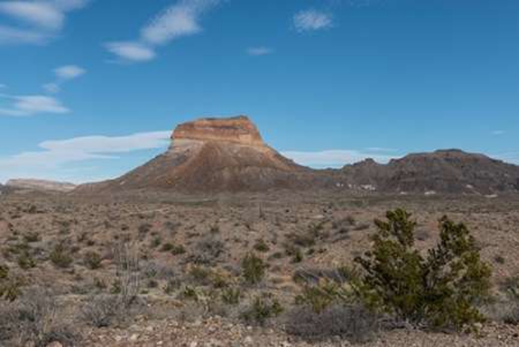 Picture of SCENERY IN BIG BEND NATIONAL PARK, TX