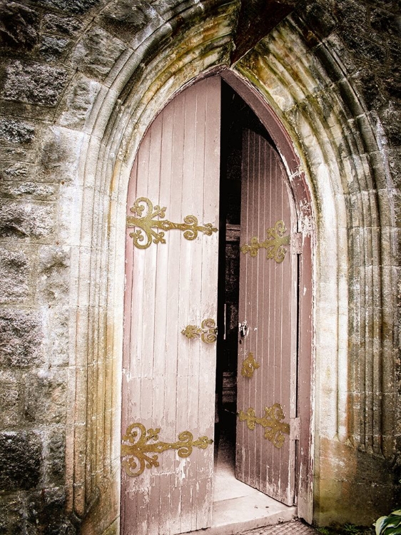 Picture of SOFT TONED VINTAGE DOOR