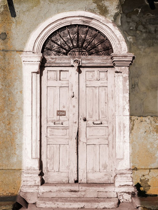 Picture of TONED VINTAGE DOOR