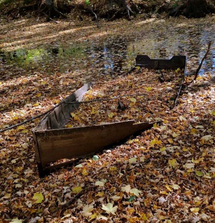 Picture of DREAMY CREEK