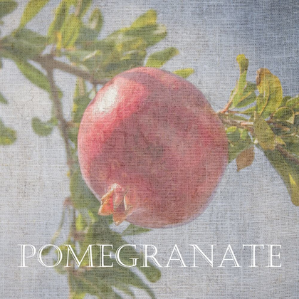 Picture of POMEGRANATE