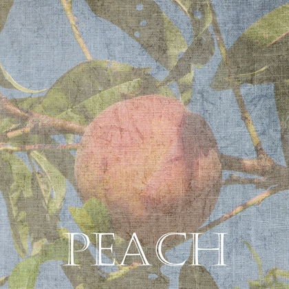 Picture of PEACH