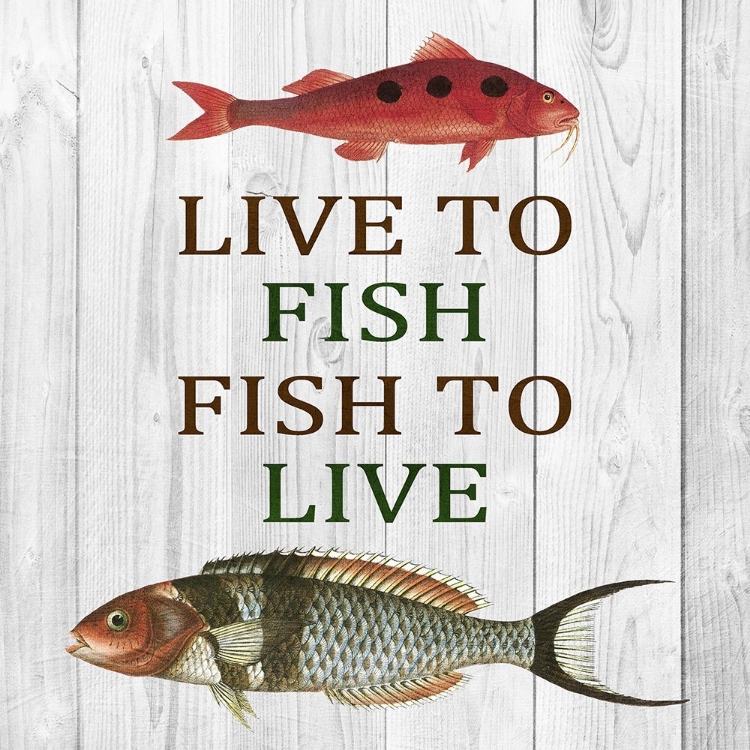 Picture of LIVE TO FISH