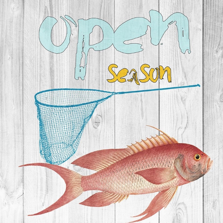 Picture of OPEN SEASON