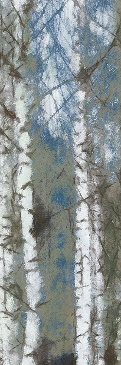 Picture of BIRCH SCAPE 1