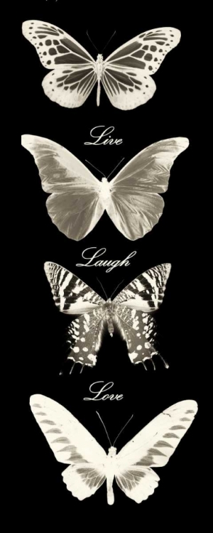 Picture of LIVE LAUGH LOVE BUTTERFLIES