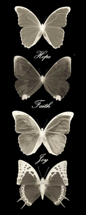 Picture of HOPE FAITH JOY  BUTTERFLIES 1