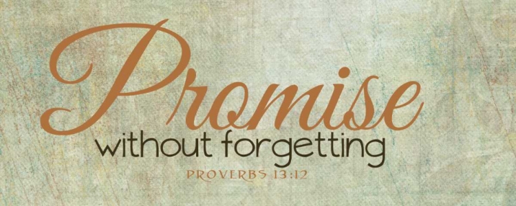 Picture of PROMISE