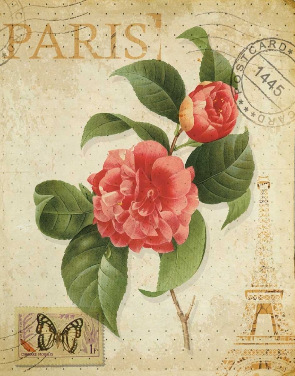 Picture of VINTAGE PARIS ROSE