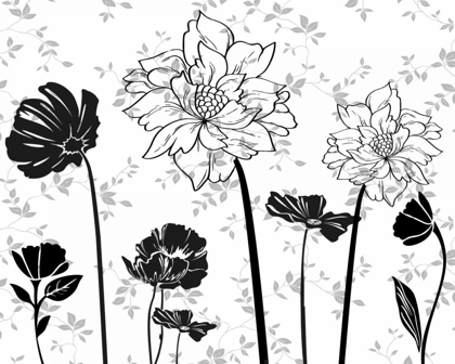 Picture of BLACK AND WHITE FLOWERS II