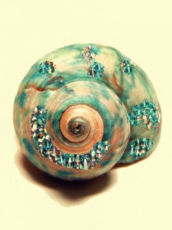 Picture of JEWELED SHELL I