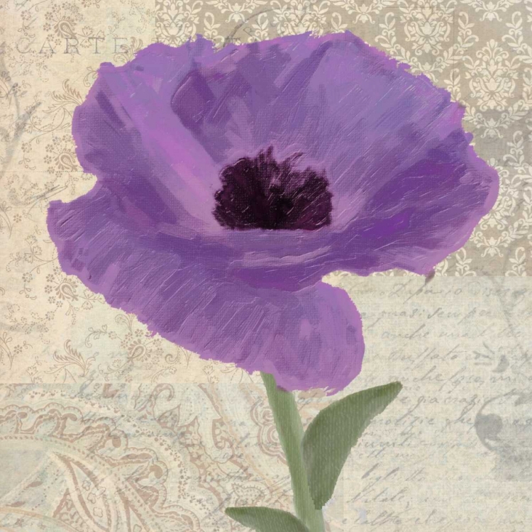 Picture of PLUM POPPY II